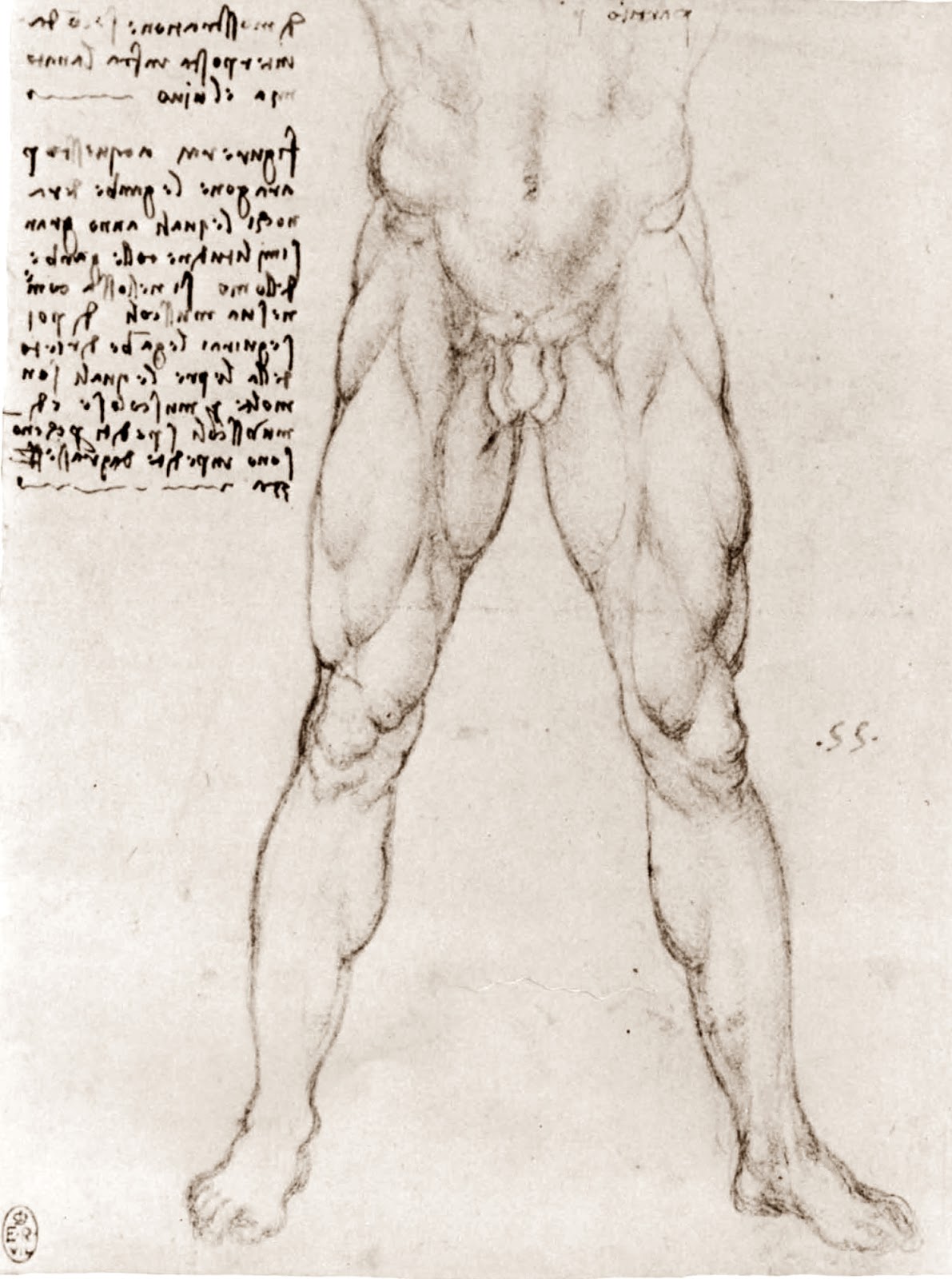 Leonardo+da+Vinci-1452-1519 (825).jpg
